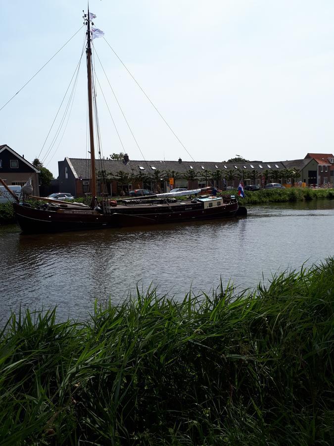 The Ark